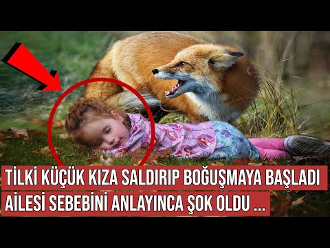 Video: Kırmızı Kitap'ta listelenen Sibirya bitki ve hayvanları