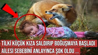 Kurtardıkları Tilki Kızlarına Öyle Bir Şey Yaptı ki, Sebebini Anlayınca Şok Oldular Resimi