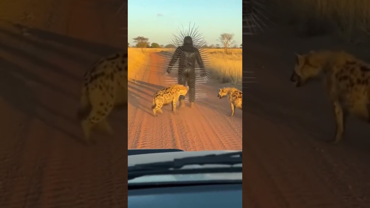 The smartest solution for survival.