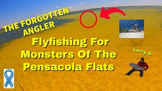 Flyfishing For Redfish On The Flats Of Pensacola, Florida, When This Happened!