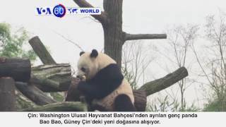 VOA 60 24 Mart