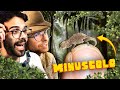 Gli animali PIÙ PICCOLI della TERRA | Lo Zoo di Dario e Willy (ft. ZooSparkle)