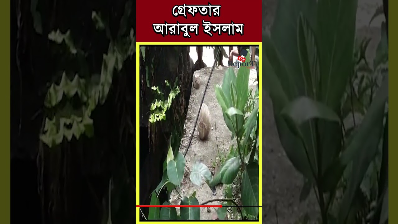 Arabul Islam Arrested : তোলাবাজি ও পঞ্চায়েত ভোটে অশান্তি ছড়ানোর অভিযোগে গ্রেফতার আরাবুল ইসলাম