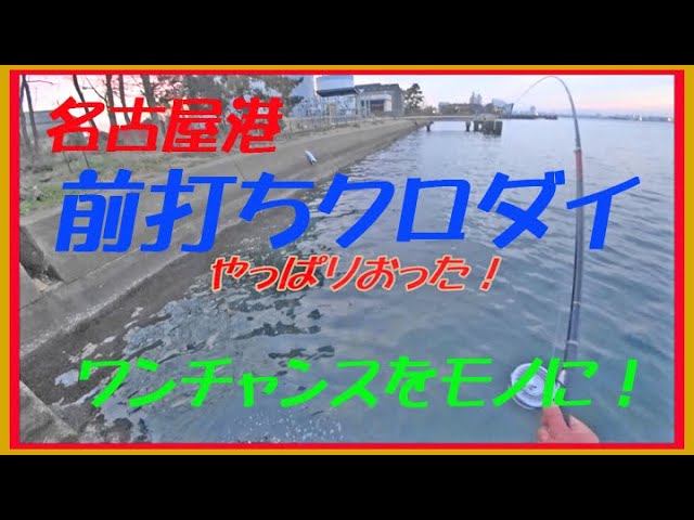 2023年12月 前打ちクロダイ 名港潮見、8号地から - YouTube