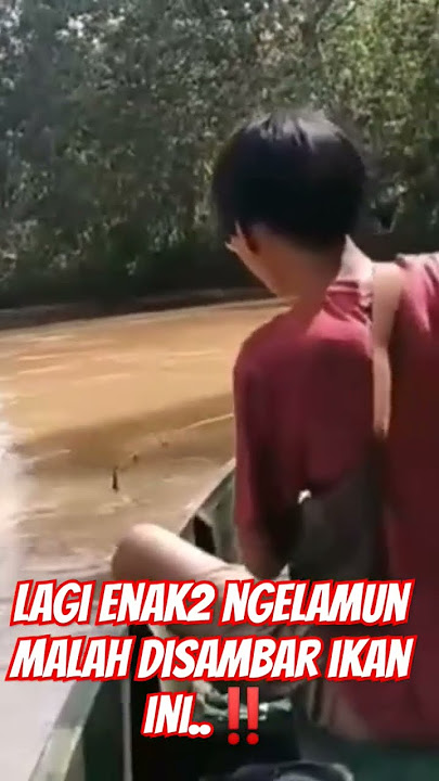 Sungai Batang Hari Lampung Utara..