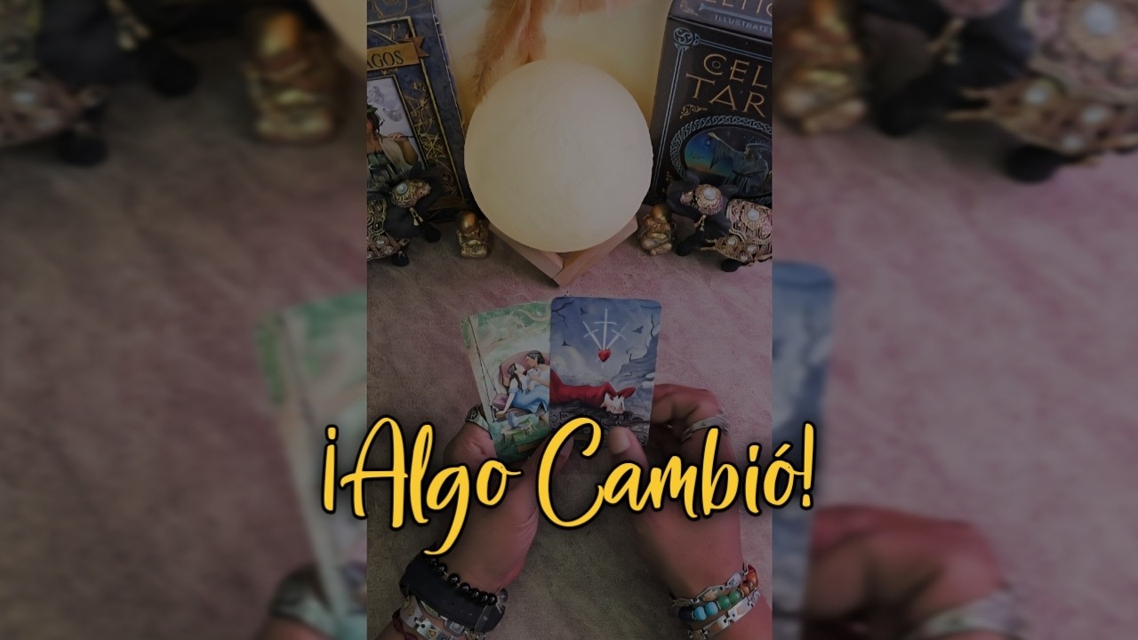 ¡LO QUE NO VISTE! 😱