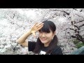 【梅かっぱ】 純情☆ファイター 【踊ってみた】