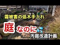 【庭仕事】霜にやられました💦