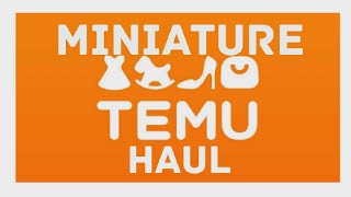 Miniature TEMU Haul