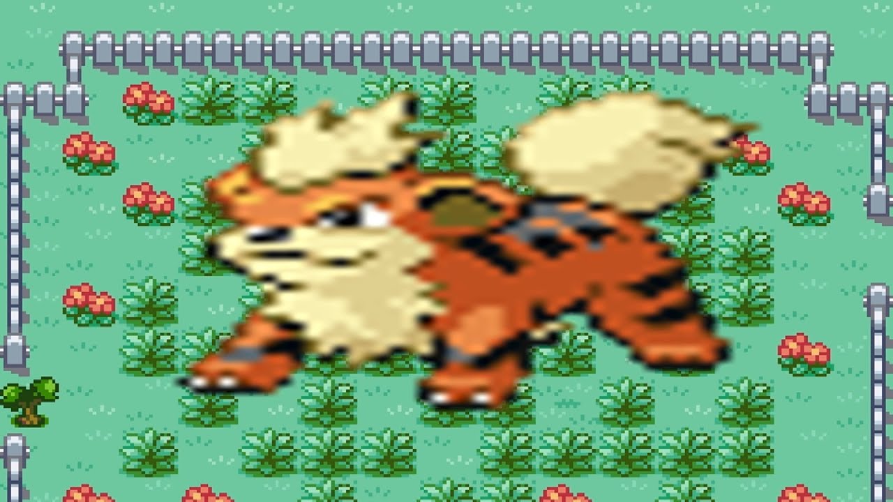 find Growlithe Pokemon Fire Red - YouTube