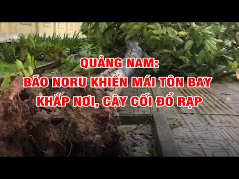 Video Quảng Nam: bão NORU khiến mái tôn bay khắp nơi, cây... - youtube