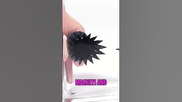 Ferrofluid: Magnetic Magic in a Bottle!