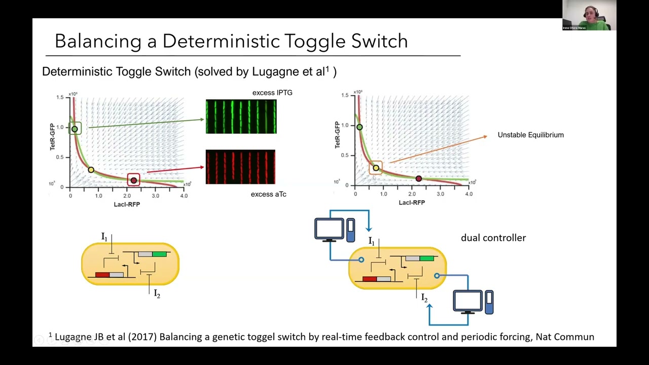 Irene Otero-Muras - Control of Stochastic Biomolecular Circuits based on PIDE models