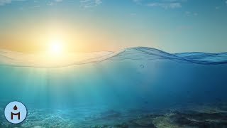 RELAX MUSIC 100% Wellness, Relaxation and Calm to Sleep, Meditate, Relax screenshot 3