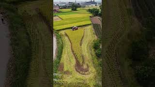 Chiếc máy cày giúp tiết kiệm sức lạo động #maycay #maynongnghiep #nôngnghiệphay #farming