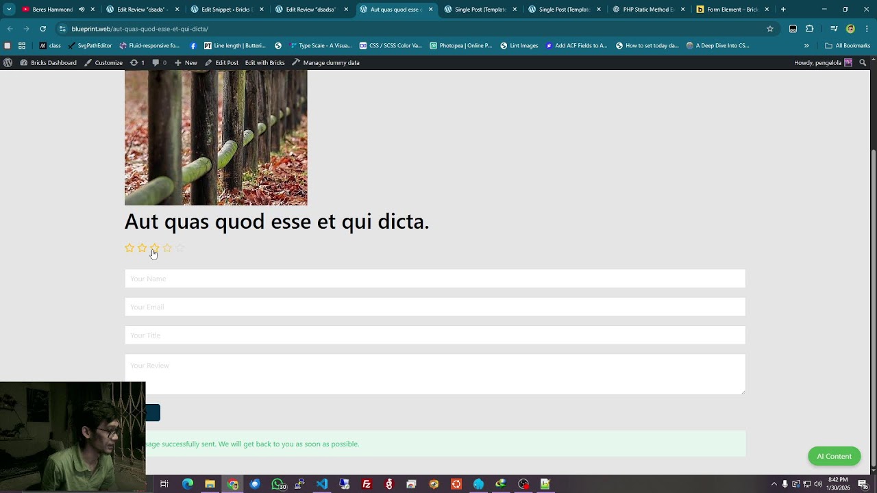 Answering Bricks Builder Questions: Review Form Element | Wordpress