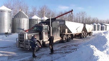 Loading a Super-B with wheat