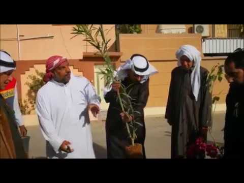 ب الصلاة على النبي متطوعون ي طلقون الجارودية خضراء بغرس 65 شجرة