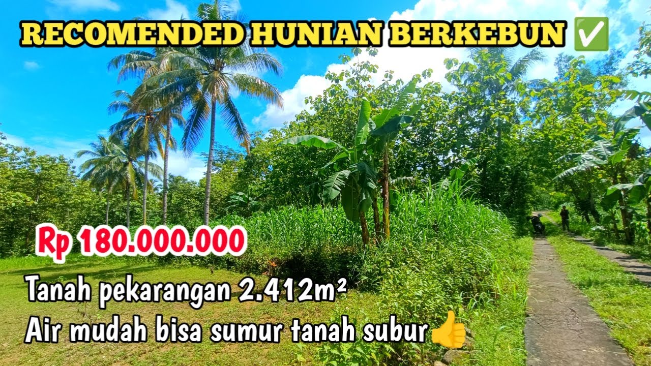 Tanah istimewa recomended buat hunian berkebun✅ #dijual shmp 2.412m²