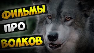 Фильмы про волков и дружбу