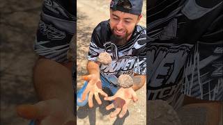 Las abrí..🪨🪨 y mira lo que tenían💎🤩 #shortvideo #nature
