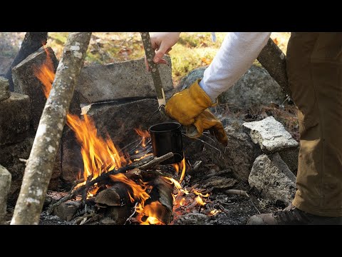 Traditional Venison Campfire Meal in the Woods - Overnight Truck Camping
