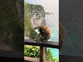 Kelingking Beach, Bali 🦖 | The Famous Dinosaur Cliff of Nusa Penida