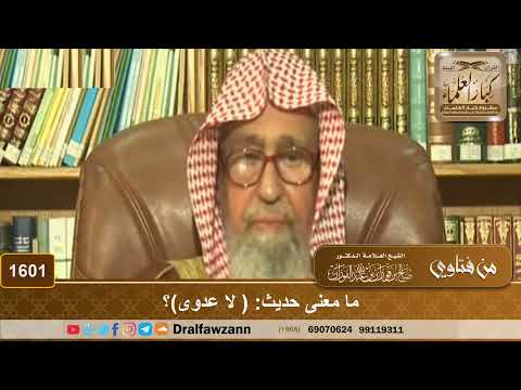 1601 - ما معنى حديث: ( لا عدوى)؟