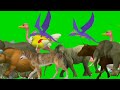 Animal running stampede green screen video! Screaming jangal pards! 10 de maio de 2025!# stampede..