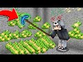 SINIRSIZ PARA VEREN KAZMA 🤑 - Minecraft