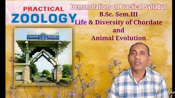 Demonstration of Practical Zoology, Diversity of Chordate & Animal Evolution for B.Sc.Sem III