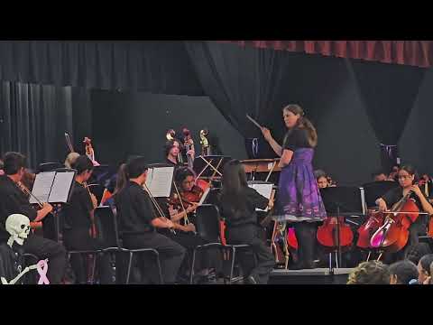 Timber Springs Middle School Orchestra Fall Concert - Chambers