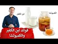 فوائد لبن الكفير (الفطر الهندي) ومقارنته مع فوائد شاي الكمبوتشا