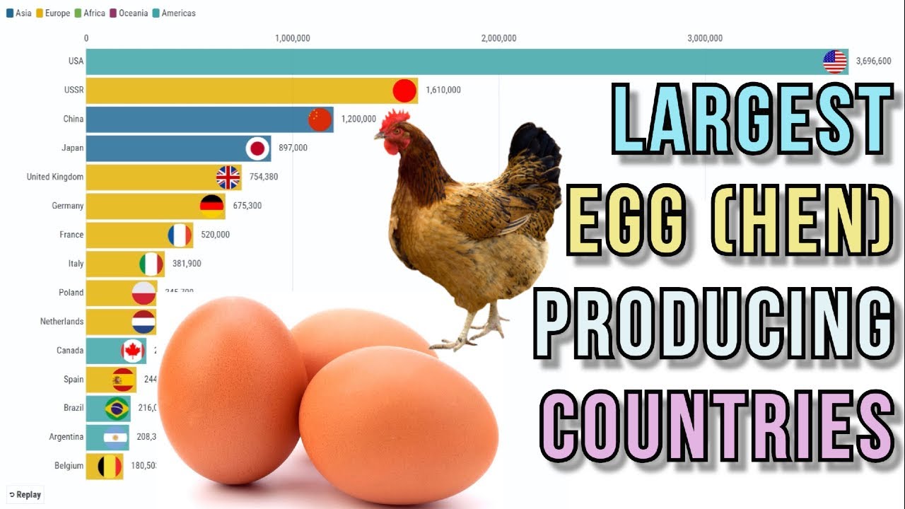 Largest Egg hen Producing Countries YouTube