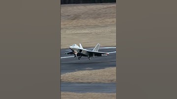 F-22 Raptor Landing #aviation #rc #rcplane