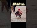 保護したポニーを途中で車から降ろした理由