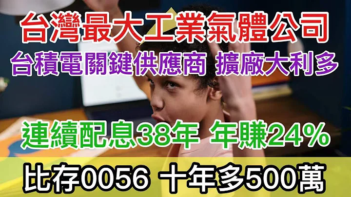 股市分析|台积电关键供应商 全台工业气体龙头 比存0056 十年多500万 (字幕请点CC) - 天天要闻