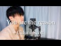Calum Scott - You are the reason (Cover by Shoma)【洋楽カバー】