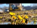 Komatsu 65 px.помер. Греется.Не рулится . и не  только .  блок бастер в 6 мес.  победы не видать .