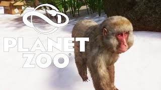 ЯПОНСКИЙ МАКАК #31 PLANET ZOO ПРОХОЖДЕНИЕ ЯПОНСКИЙ МАКАК #31 PLANET ZOO ПРОХОЖДЕНИЕ