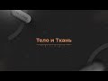 DMK - Тело и Ткань | Music - Tech House / Violin / Classic |