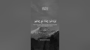 سورة الفتح - هو الذي أنزل السكينة في قلوب المؤمنين - آيات السكينة - مدار ترند MadarTrend