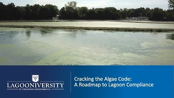 Free Webinar: Cracking the Algae Code  A Roadmap to Lagoon Compliance