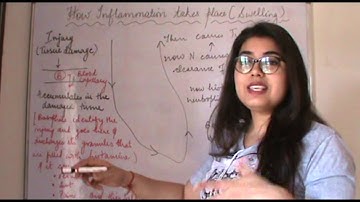 Csir Net Life Science Lectures Module Wise Chapter Three Part Five| How Inflammation takes place|