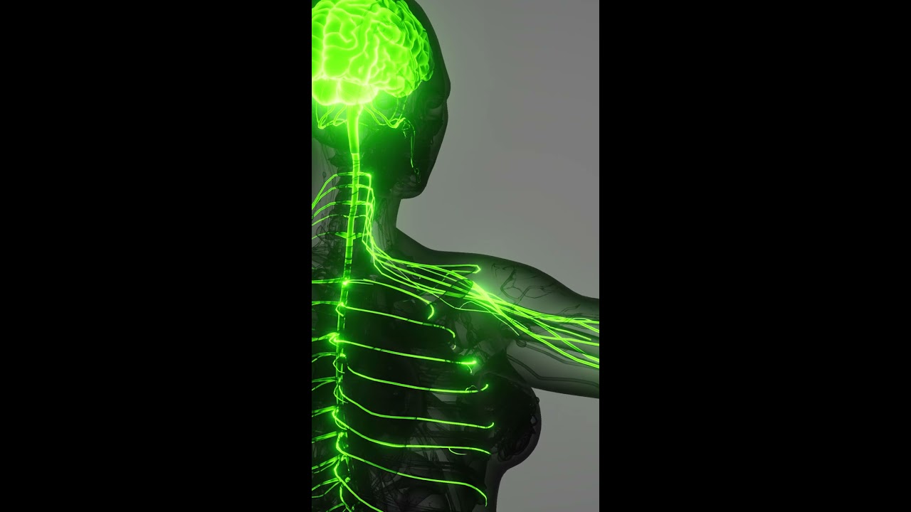 Oxalate Causes Chronic Pain Shorts