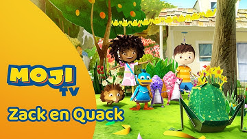 POP-UP EENDENVAKANTIE 🎉 | ZACK EN QUACK 🦆 | Nederlandse Kinderseries | MojiTV