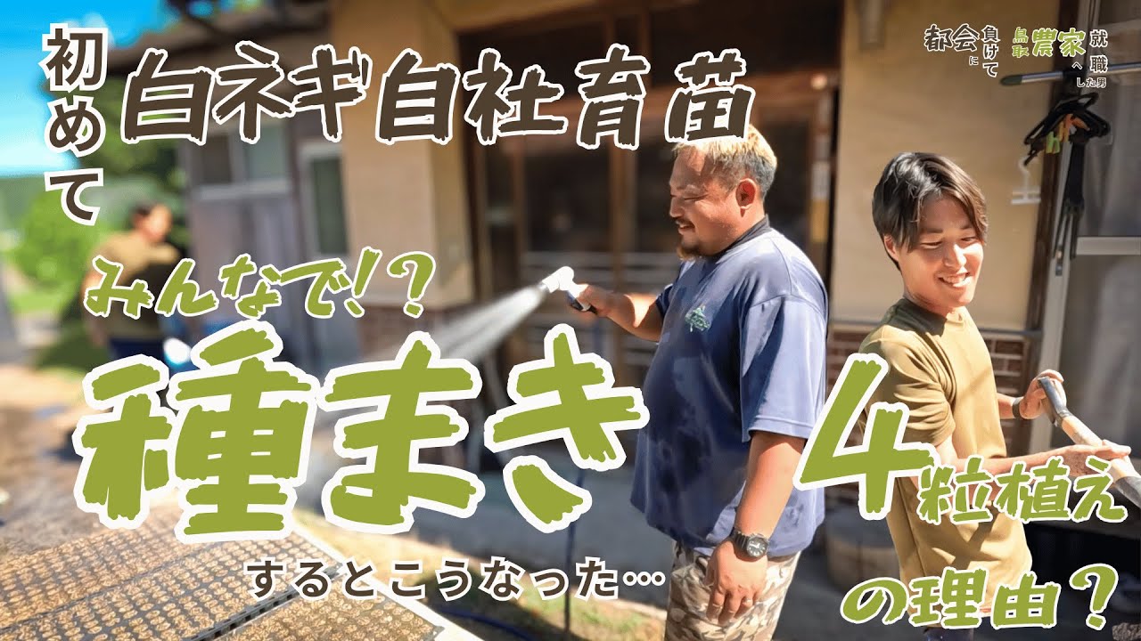 初めての白ネギ自社育苗！みんなで種まきしたらこうなった…４粒植えの秘密｜都会に負けて鳥取の農家へ就職した男