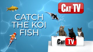 CAT TV Fish | 🐟 Catch The Koi Fish | Cat Games 4K | Fish Videos For Cats | 3 Hours