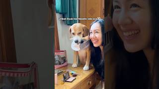 Lirikan Mata Ryuki Bombastic Side Eye Wkwkwk shorts anjinglucu