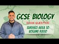 GCSE Biology: Exam Question | Surface Area to Volume Ratio